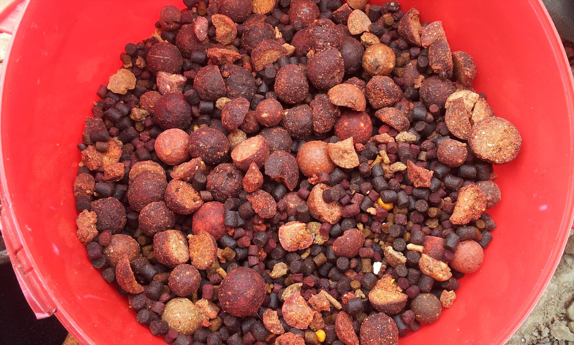 Hermes Peris 27 aprilie 2014 - 20140427120514.jpg